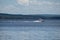 Person water skiing behind big boat on Round Lake, Ontario, Canada