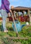 Person weeding a vegetable patch in spring