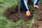 Person who dug a hole to transplant a tree in a garden