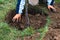 Person who dug a hole to transplant a tree in a garden