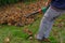 Person working in the garden cleaning ground out of fallen leaves with a special vacuum cleaner for garden work