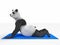 Personage character animal bear panda yoga stretching exercises different postures
