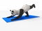 Personage character animal bear panda yoga stretching exercises different postures