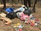 Personal household rubbish and waste illegally dumped in crown land bush