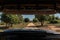 Personal perspective view from a safari vehicle in the jungle of sri lanka