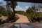 Personal perspective view from a safari vehicle in the jungle of sri lanka