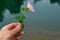 Personal perspective of woman hand holding a wild flower