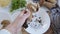 Personal perspective of woman hands preparing porcini mushrooms