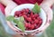 Persons hands hold white plate with red fresh raspberries