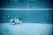 Persons lies under water in a swimming pool