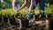 Persons planting trees in a community garden, showcasing the spirit of volunteering and environmental conservation.