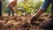 Persons planting trees in a community garden, showcasing the spirit of volunteering and environmental conservation.