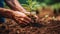 Persons planting trees in a community garden, showcasing the spirit of volunteering and environmental conservation.