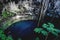 Persons swimmig in Oxman cenote with blue water and tropical plants in the cave, Yucatan, Mexico