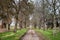 Perspective on an abandoned and neglected park alley in a French park