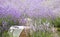 Perspective background with wooden table for your design. Lavender field region Provence