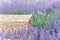 Perspective background with wooden table for your design. Lavender field region Provence