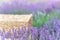 Perspective background with wooden table for your design. Lavender field region Provence