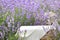 Perspective background with wooden table for your design. Lavender field region Provence