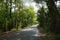 Perspective local road to forest in Thailand