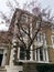 Perspective photo of a house covered by a tree