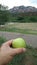 Perspective,  Sedona, green nature splendor