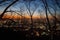 Perspective of sunset of the dry forest and city view with starry sky on background