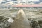 Perspective view of a concrete pier at the sea at sunset