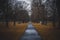 Perspective view of a park pathway with nobody around and irregular path shaped by strange dry grass and surrounded by leafless