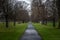 Perspective view of a park pathway where people trek and run, with irregular path shaped by green grass and surrounded by leafless