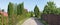 Perspective view of  road  and green hedges in the standard  poor summer  European village