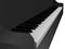 Perspective view vector of beautiful realistic shaded black piano keyboard