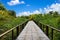 Perspective of wood bridge in deep tropical forest.