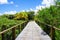 Perspective of wood bridge in deep tropical forest.