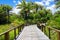 Perspective of wood bridge in deep tropical forest.