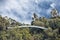 Perth botanic gardens suspended bridge