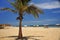 Peru Moncora Punta Sal view of tropical beach in Pacific ocean palm tree coconut tree parasol