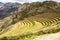 Peru, Pisac (Pisaq) - Inca ruins in the sacred valley in the Peruvian Andes