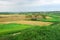 Peru Piura rice field cultivated and in harvest