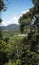 Peru Tingo Maria deforestation and felling of trees in an Amazon jungle in a valley with mountains and sky