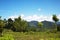 Peru Tingo Maria deforestation and felling of trees in an Amazon jungle in a valley with mountains and sky