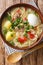 Peruvian caldo de gallina chicken noodle soup close-up in a plate. vertical top view