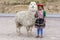 A Peruvian girl stands with a llama in the Puno region of Peru.