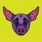 Peruvian hairless dog face vector illustration in decorative style design