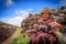 Peruvian Indian Woman in Traditional Dress Weaving