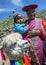 A Peruvian lady with child and llama near Cusco in Peru.