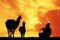 Peruvian lamas at sunset
