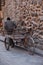 Peruvian Man with cart