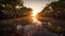 Peruvian Mangrove At Sunset: Hyper-detailed 8k Shot With Sony Alpha A7 Iv