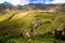 Peruvian Sacred Valley: The Train Ride to Machu Picchu